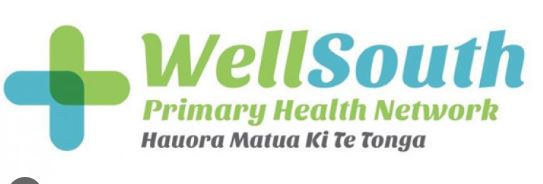 Wellsouth logo